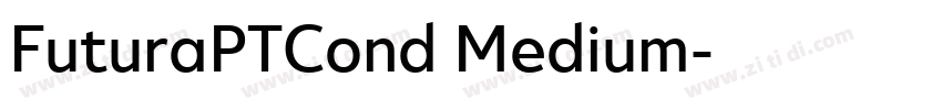 FuturaPTCond Medium字体转换